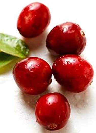 Khasiat Cranberry untuk Kecantikan