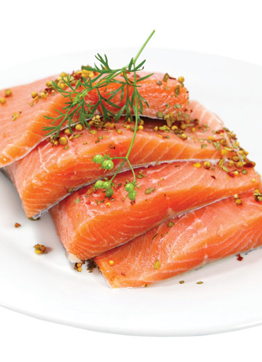 Ikan Tuna vs Salmon