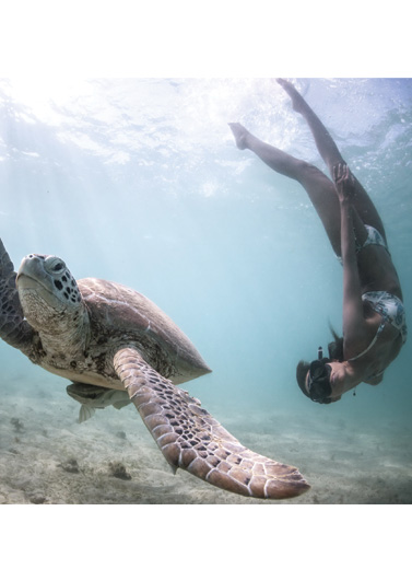 Freedive, Berenang seperti Putri Duyung
