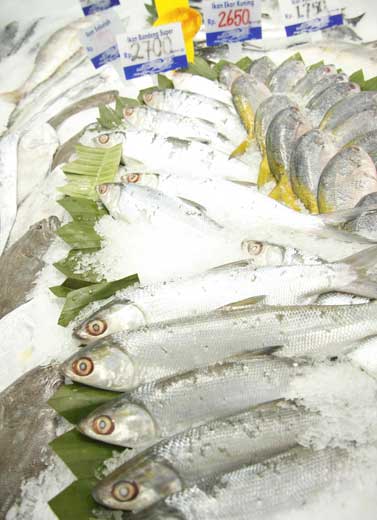 Zat Berbahaya Pada Makanan