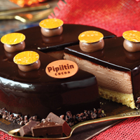 Chocolate Cheese Cake