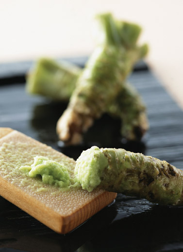 Wasabi Di Eropa