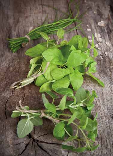 Rempah Daun Menghitam