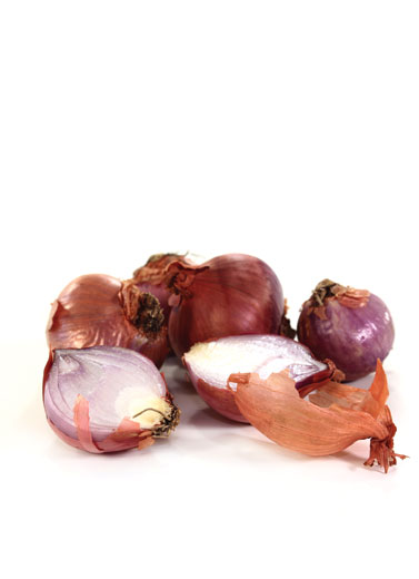 Bawang Cepat Busuk