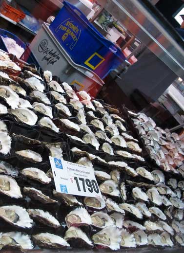 Suatu Pagi di Pasar Ikan Sydney