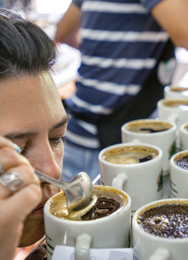Kopi Indonesia: Lain Daerah, Lain Rasa 