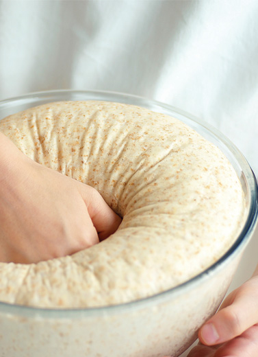 Pembekuan Adonan Roti 