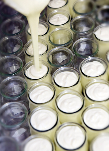 Manfaat Yoghurt Bagi Pencernaan
