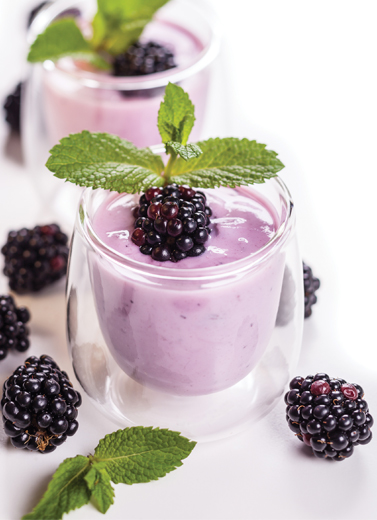 Kandungan Probiotik dan Prebiotik pada Yoghurt 