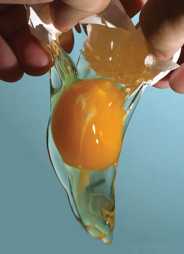 Tepat Menakar Telur