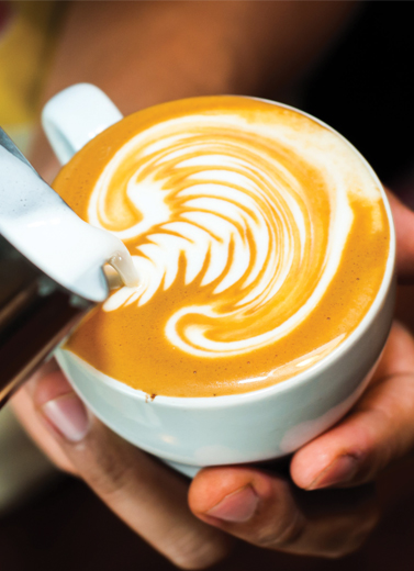Memahami Dunia Barista