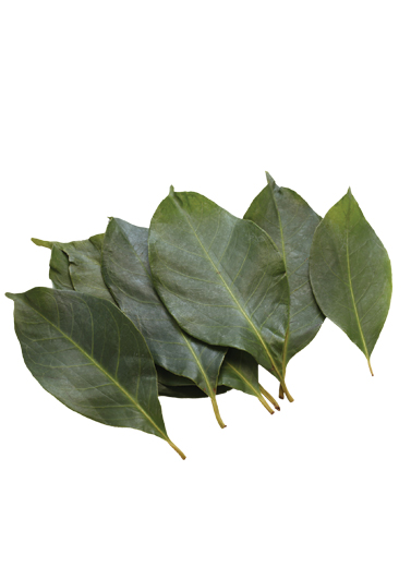 Agar Daun Tetap Wangi