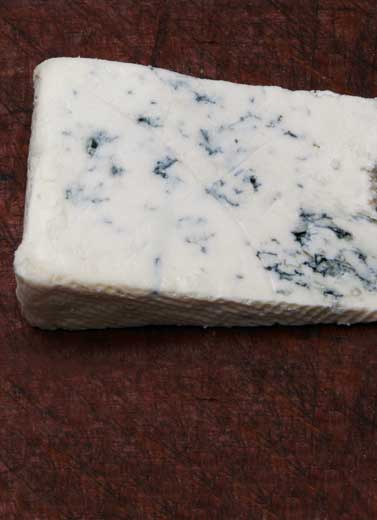 Jamur Pada Blue Cheese