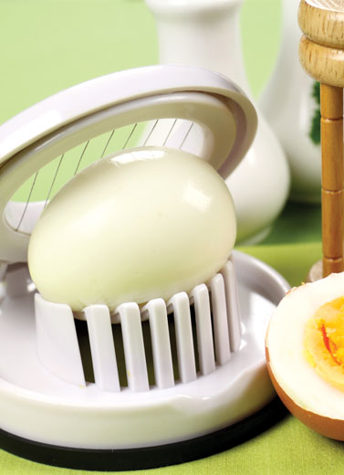 Egg-Cited
