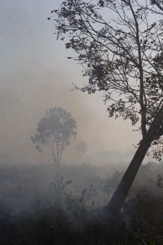 Asap Riau Bukan Bencana Alam