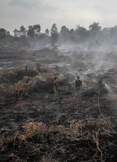 2015, Kerusakan Lingkungan Masih Mengkhawatirkan 
