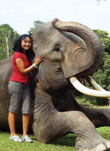 Di Antara Gajah dan Harimau Sumatra