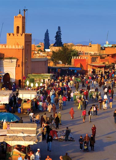 The Rose City of Marrakesh