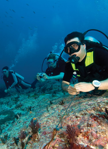 Menempuh Gugusan Pulau Derawan