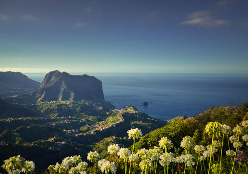 Kecantikan Dramatis Madeira