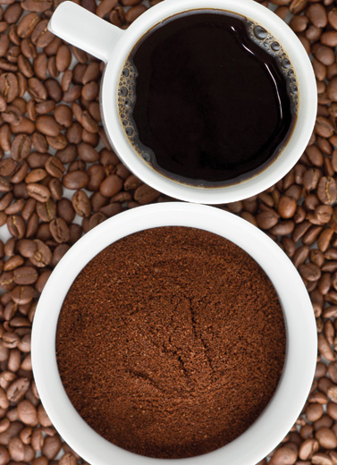 Ngopi di Melbourne