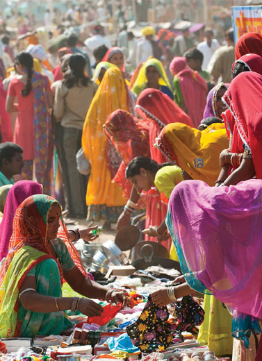 Berburu Perhiasan Rumah Di India