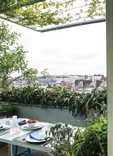Rooftop Garden