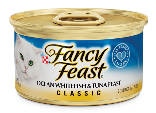 Santapan Lezat Buat Kucing Tersayang 