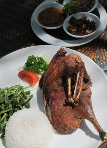 Pesona Makan Bebek di Tepi Sawah