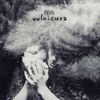 Vulnicura