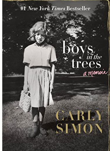 Boys in Trees: A Memoir
