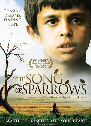 The Songs of Sparrow