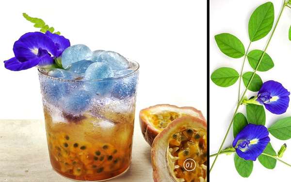 Minuman Bunga Telang dan Markisa