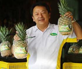 Inovasi Buah Nanas