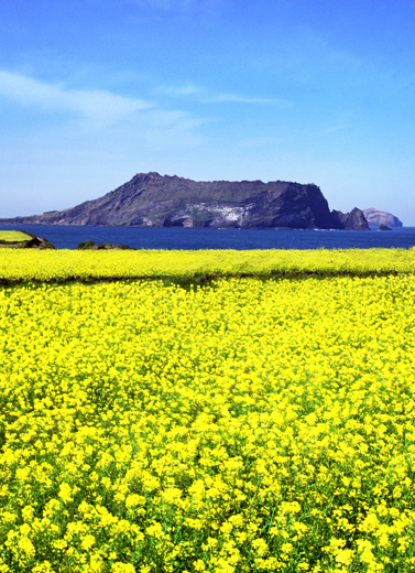 Rayuan dari Jeju