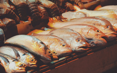 Cerita Di Balik Pengawetan Ikan