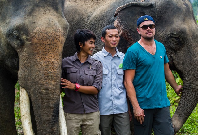 Sosok Leonardo DiCaprio di Mata Farwiza Farhan 