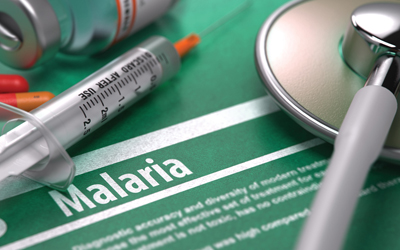 Kelambu Massal Bebas Malaria