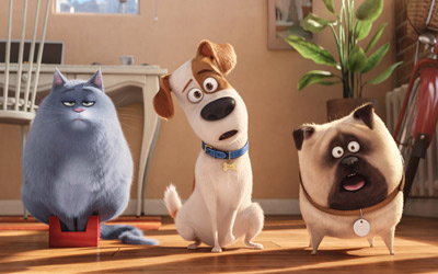 Mengikuti Aktivitas Harian Hewan Peliharaan di The Secret Life of Pets