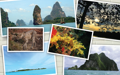 Pilihan Destinasi Ekowisata di Dunia