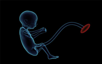 Belajar Dari Kasus Istri Kedua Opick, Ini 8 Penyebab Kematian Janin Pada Trimester 2 dan 3