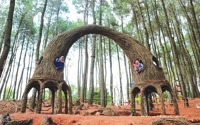 Jalan-Jalan Yogyakarta: Hutan Pinus Pengger, Yogyakarta untuk Anda yang Ingin Foto di Lokasi yang Menantang 