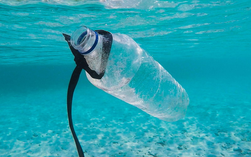Planet vs Plastik, Tema Hari Bumi 2024