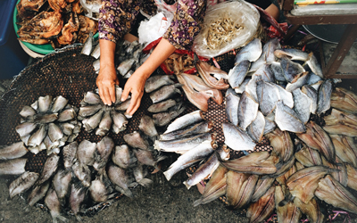 6 Proses Pengawetan Ikan Populer di Dunia