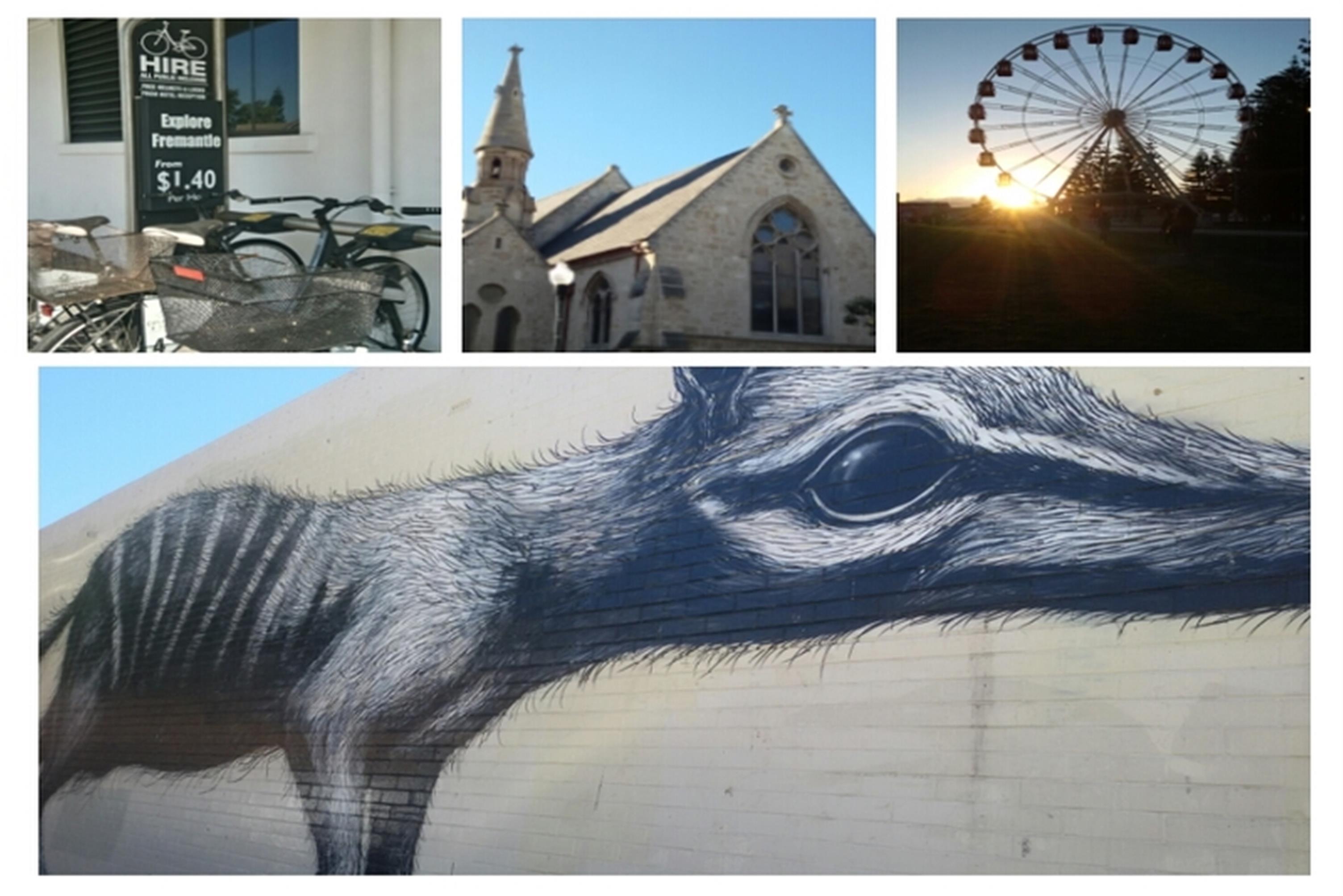 4 Hal Wajib Dilakukan di Fremantle, Western Australia