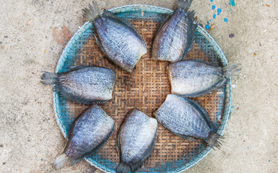 Menangani Ikan Asin