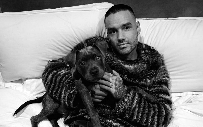 Liam Payne Meninggal di Usia 31, Jatuh dari Lantai 3 Hotel