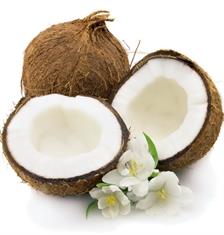 Cantik Dengan Kelapa