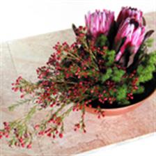 Senangnya Jadi Florist