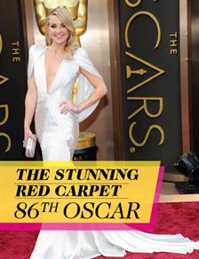 Red Carpet OSCAR 2014